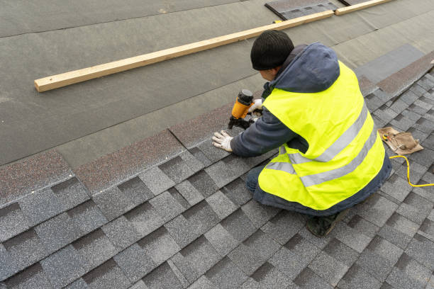 Best Roof Moss and Algae Removal  in Harrisville, WV
