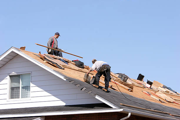 Best Skylight Installation and Repair  in Harrisville, WV